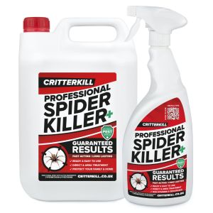 spider killer spray