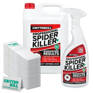 spider killer kit